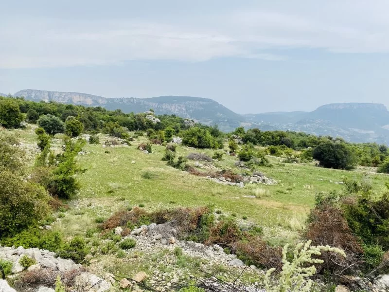 Akkuyu Arslanlı’da 1700 m² Satılık Tarla – Yaylada Kaçırılmayacak Fiyat!