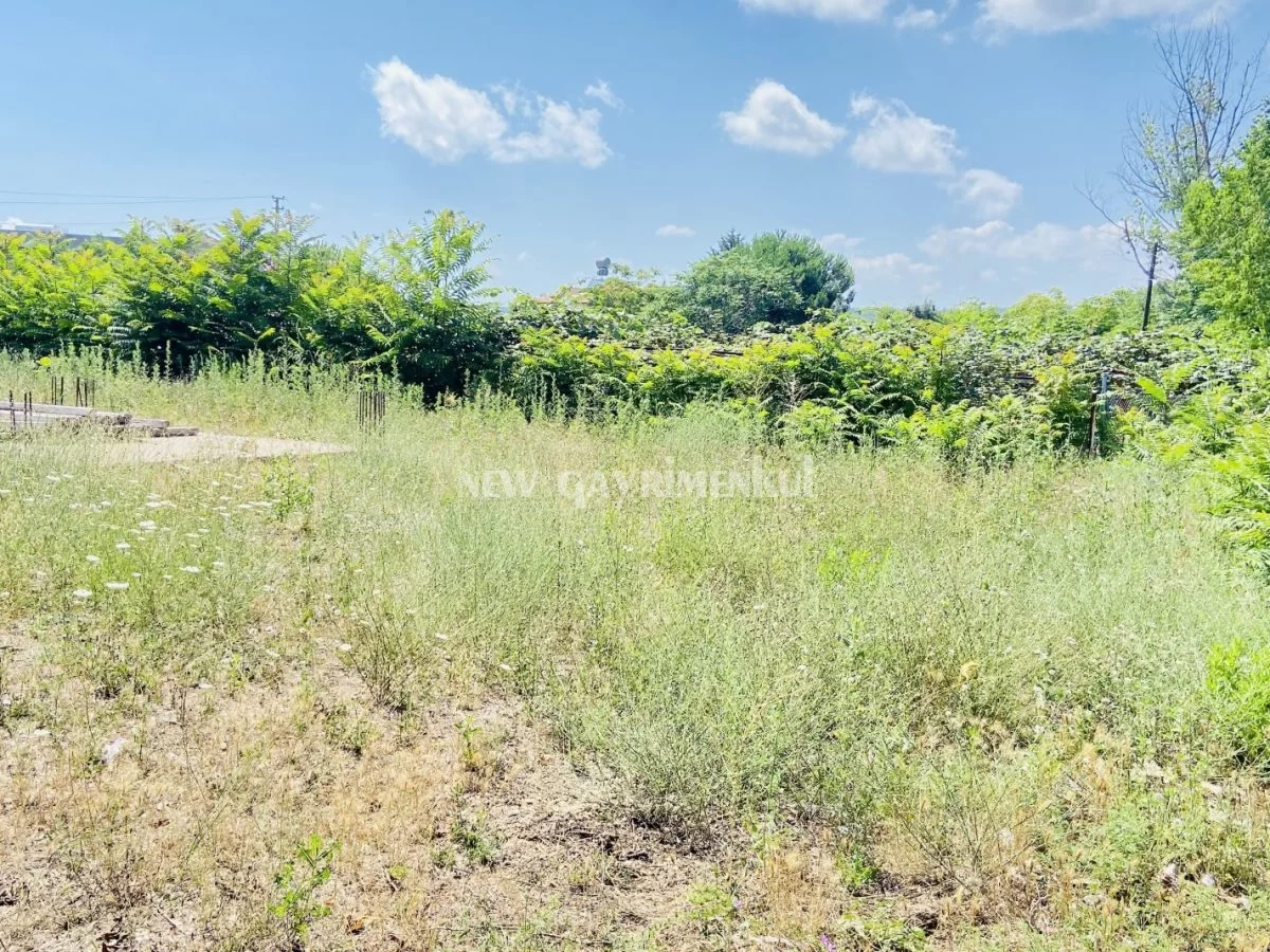 Aslanlı’da (Akkuyu) 1061 m² Satılık Arsa ve Müstakil Ev