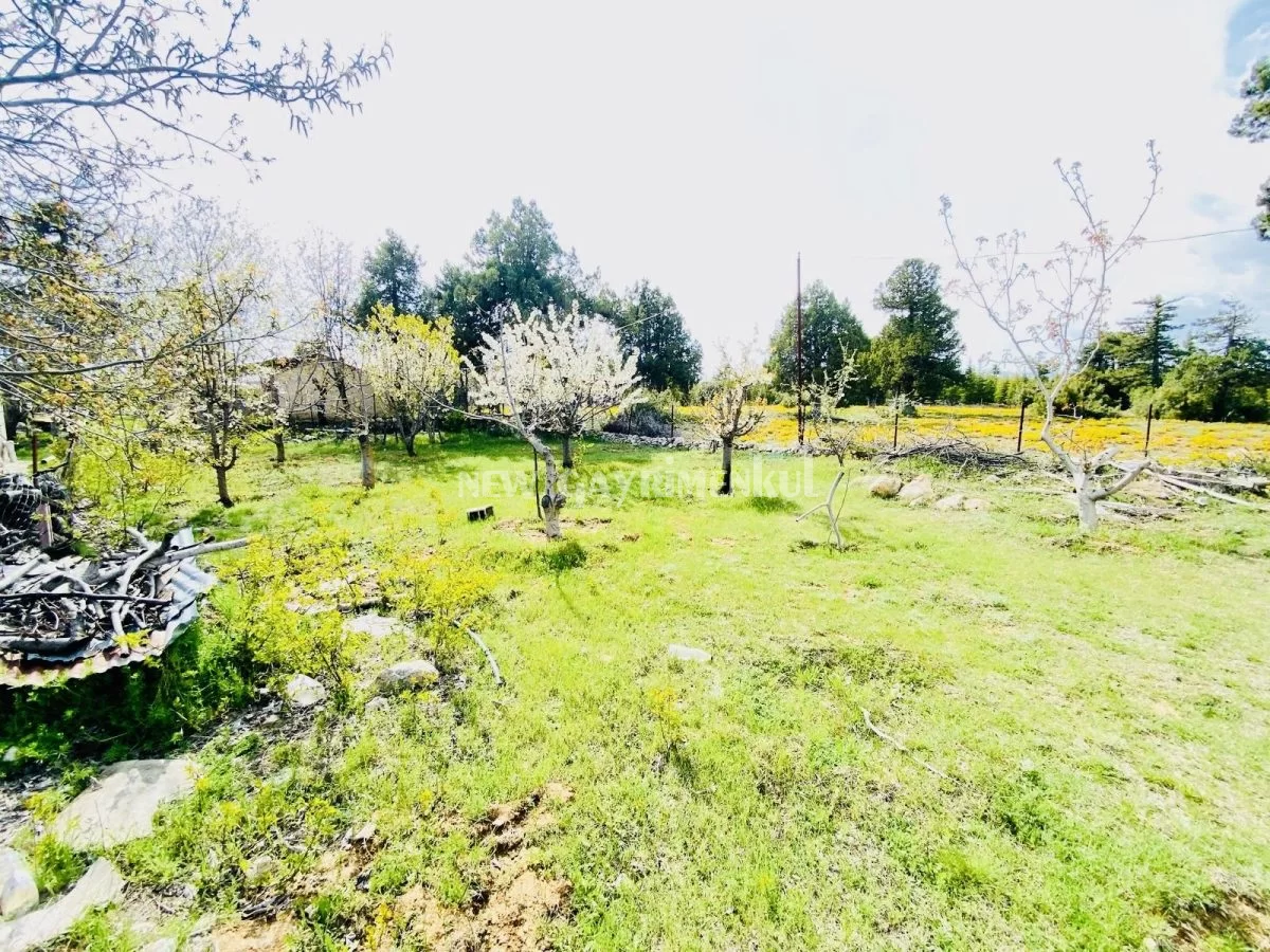 Avgadı’da (Aydınlar) 504 m² Acil Satılık Arsa ve Müstakil Ev