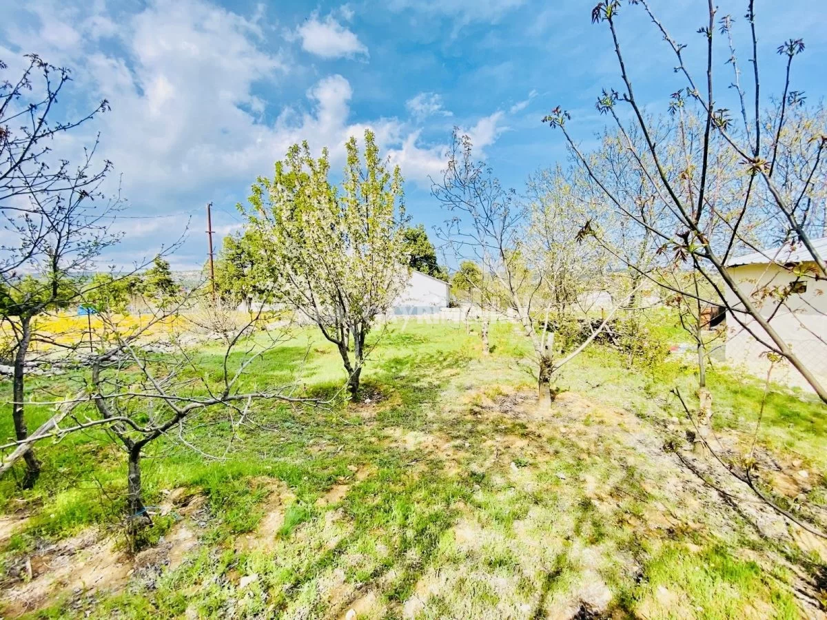 Avgadı’da (Aydınlar) 504 m² Acil Satılık Arsa ve Müstakil Ev