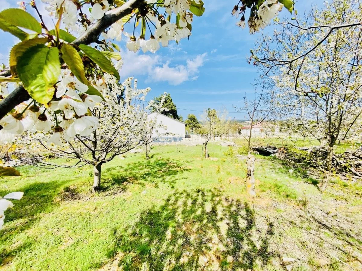 Avgadı’da (Aydınlar) 504 m² Acil Satılık Arsa ve Müstakil Ev