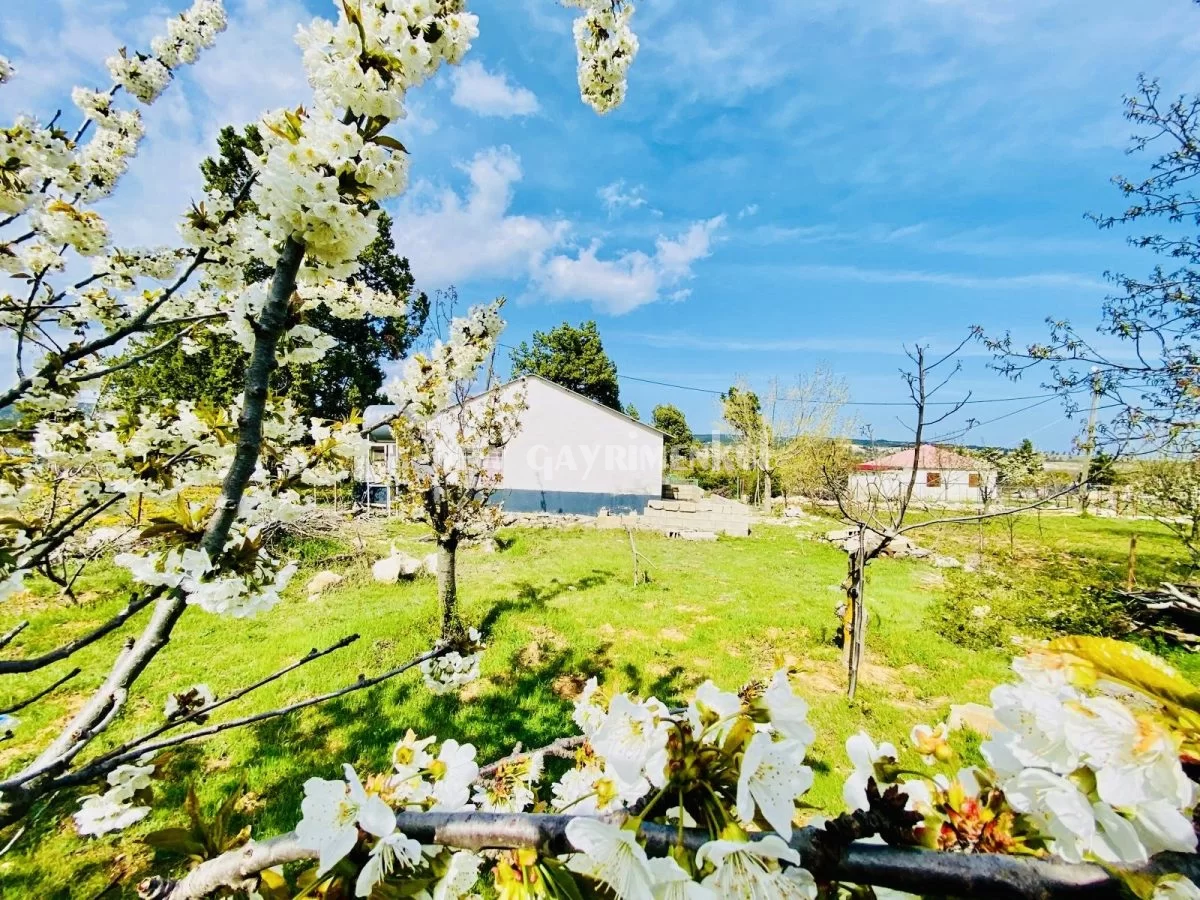 Avgadı’da (Aydınlar) 504 m² Acil Satılık Arsa ve Müstakil Ev
