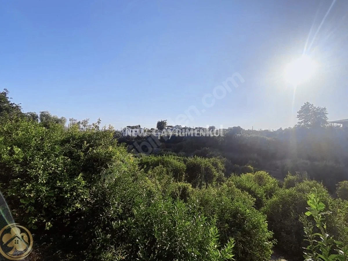 Erdemli Kargıcak’ta Satılık Verimli 7.631 m² Limon Bahçesi