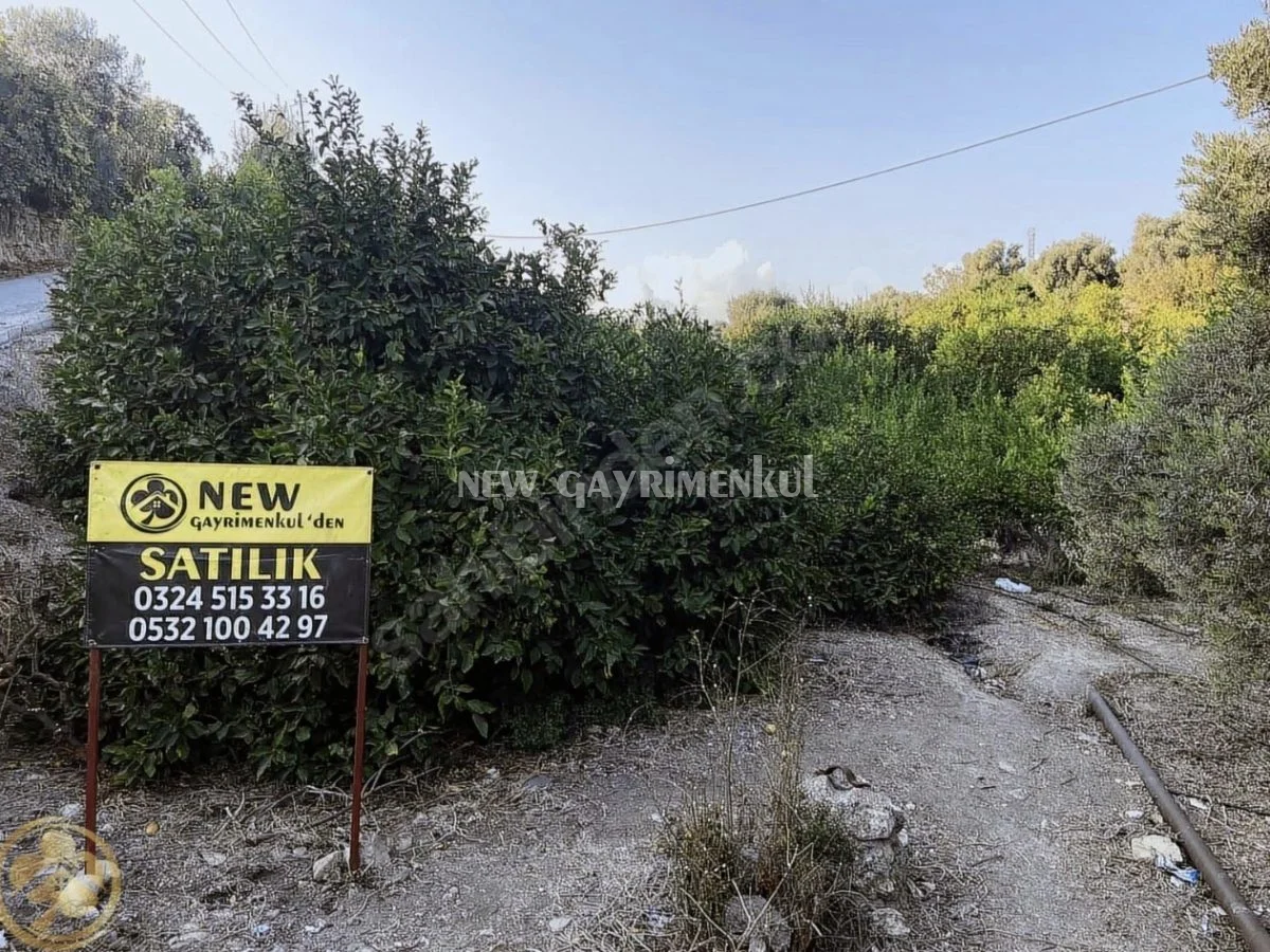 Erdemli Kargıcak’ta Satılık Verimli 7.631 m² Limon Bahçesi