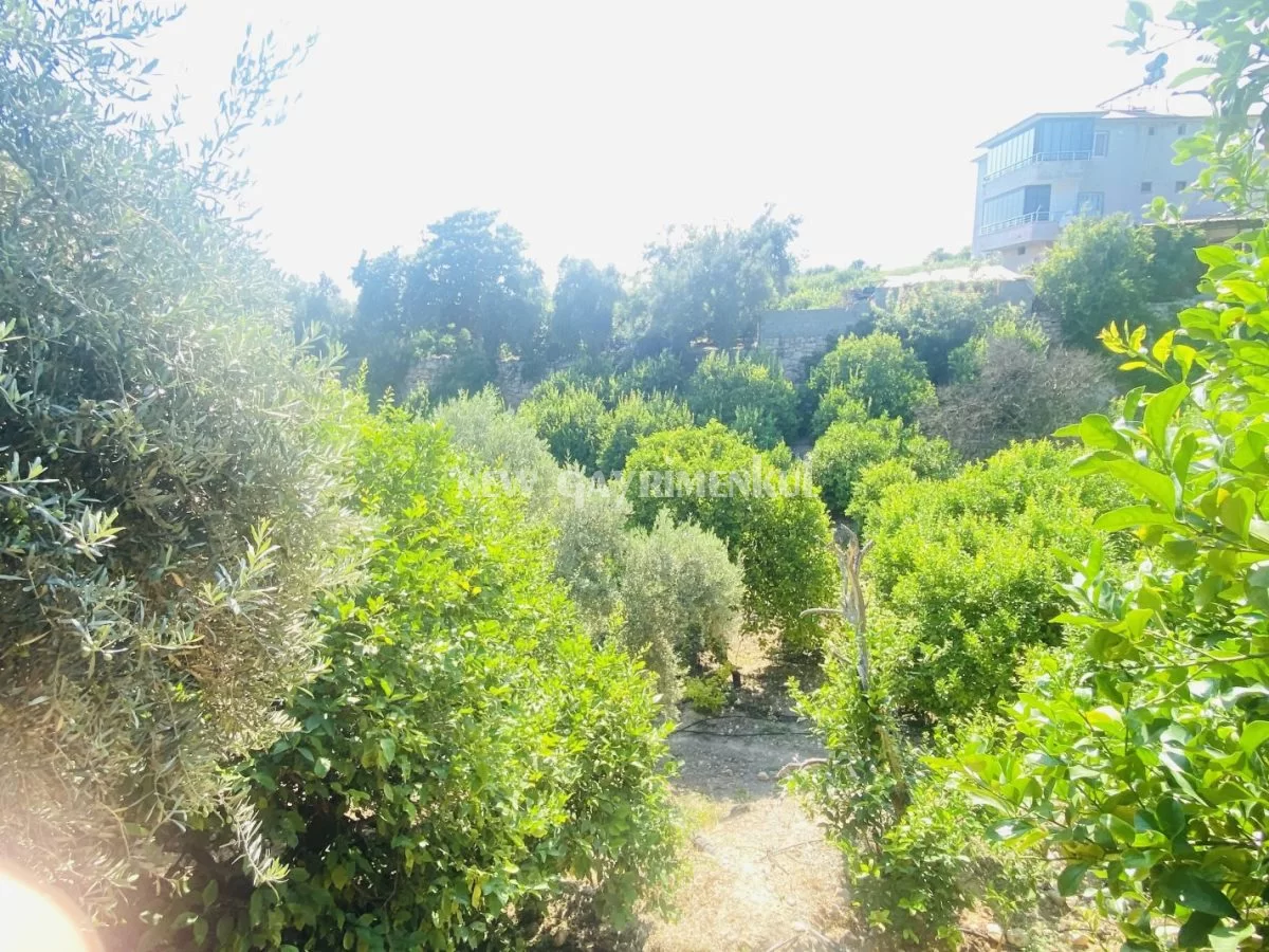 Kargıcak’ta Satılık 2572 m² Limon Bahçesi – Müstakil Yaşam