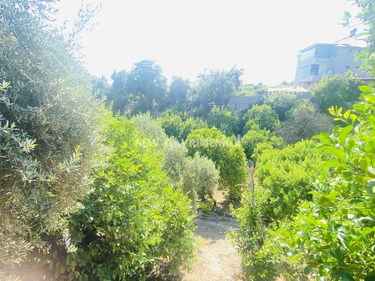 Kargıcak’ta Satılık 2572 m² Limon Bahçesi – Müstakil Yaşam