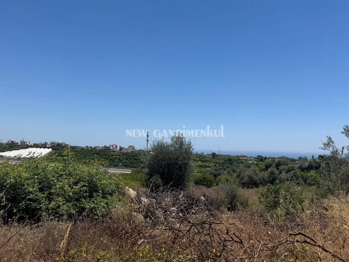 Tabiye’de Satılık 1.714 m² İmarlı Arsa | Villa Projesi ve Yatırım İçin Uygun