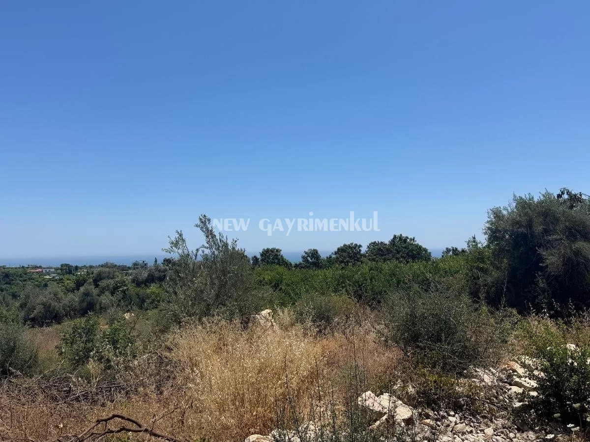 Tabiye’de Satılık 1.714 m² İmarlı Arsa | Villa Projesi ve Yatırım İçin Uygun
