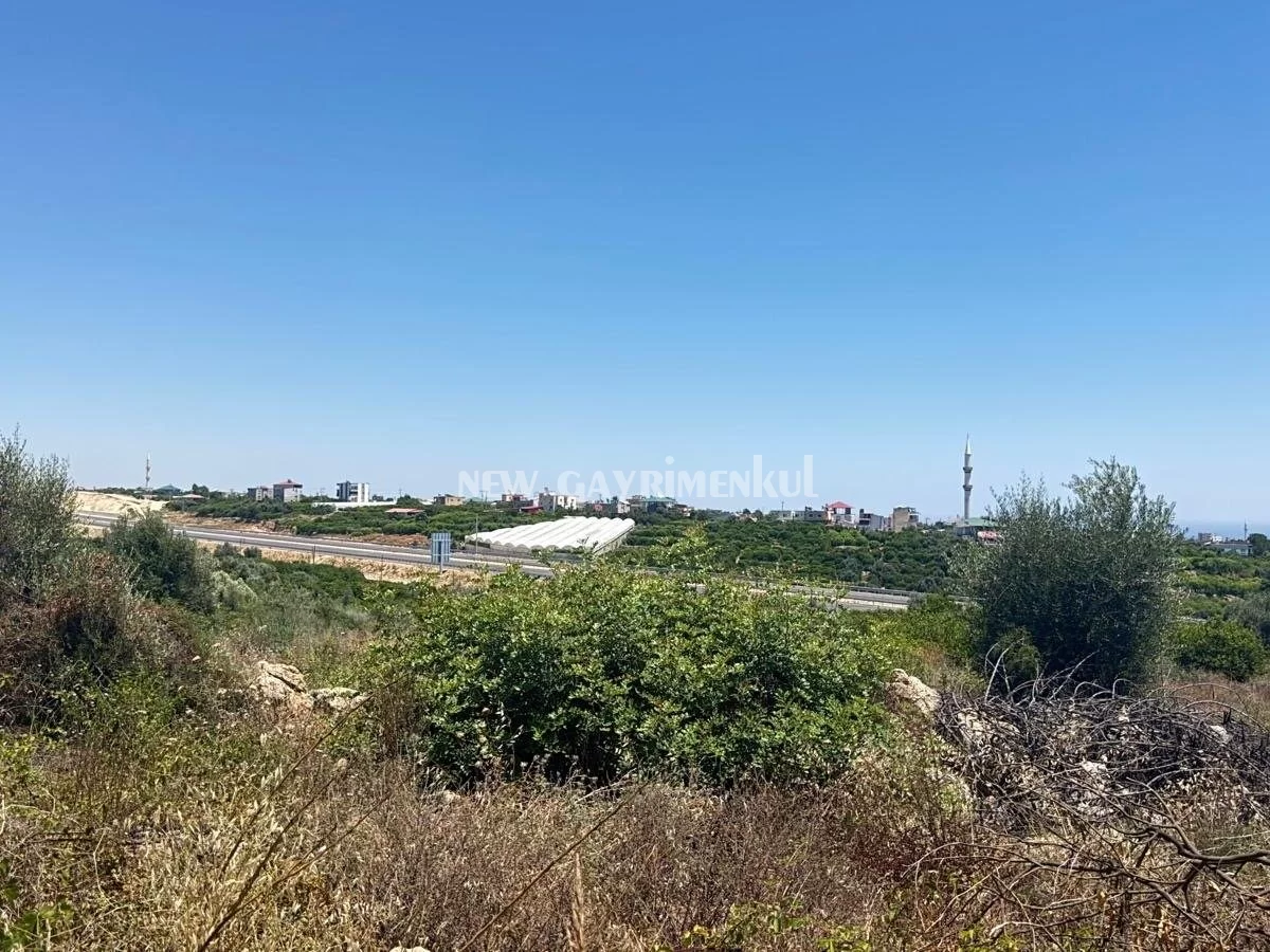 Tabiye’de Satılık 1.714 m² İmarlı Arsa | Villa Projesi ve Yatırım İçin Uygun