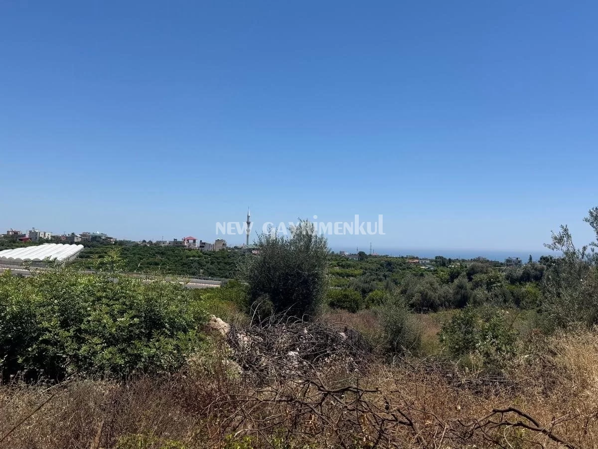 Tabiye’de Satılık 1.714 m² İmarlı Arsa | Villa Projesi ve Yatırım İçin Uygun
